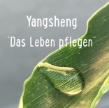 Gesundheitsprävention oder "Yangsheng: Das Leben pflegen"